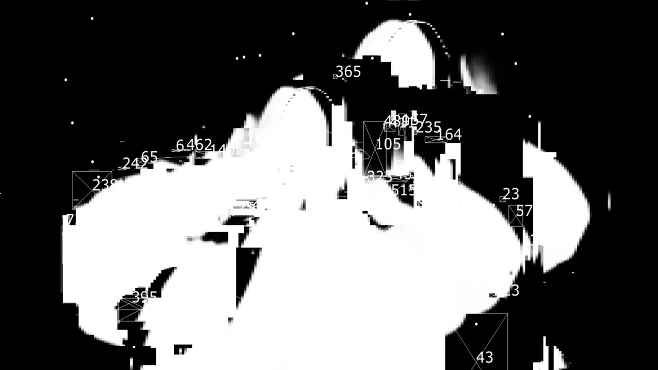 DEMO54 Fanny Pimpurniaux — The Panoptic Code
